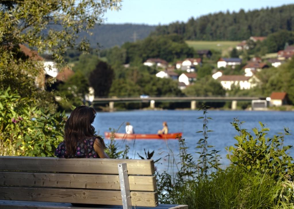Gasthof Zum Baeckerwirt Chamerau Buitenkant foto